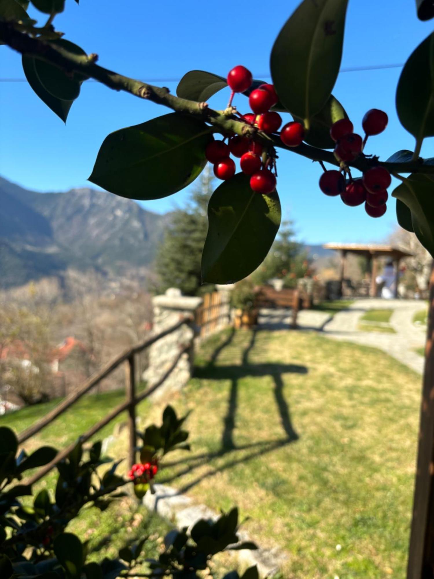 Hotel Πέτρινο Όραμα Kotronion  Zewnętrze zdjęcie